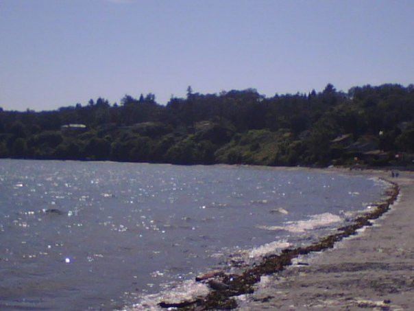 Cadboro Bay景点图片