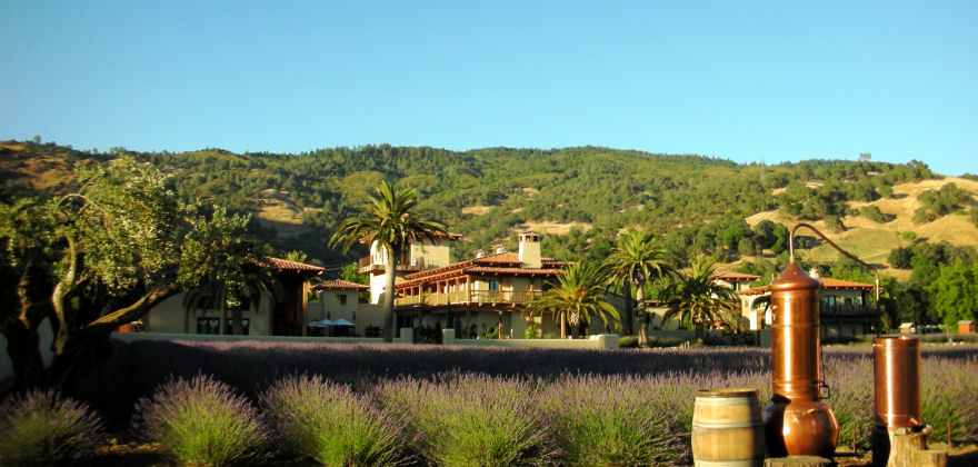 Ceago Estate Wines景点图片
