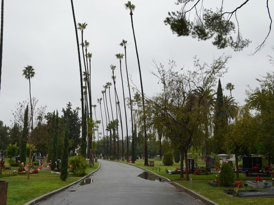 好莱坞永恒公墓-洛杉矶必去景点