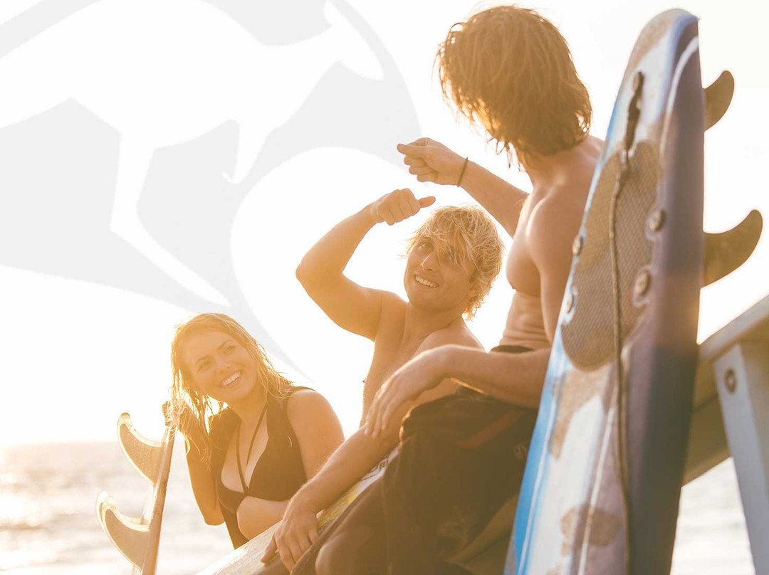 Australian Surf Tours-悉尼必去景点