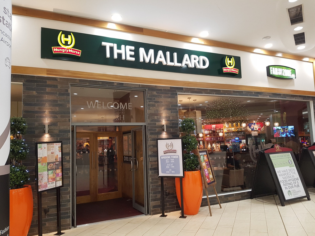 Mallard