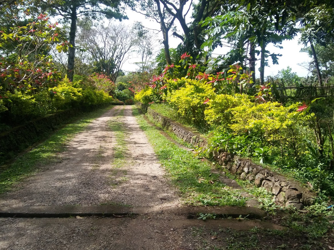 EPIC PARK Rainforest Camping Tanay