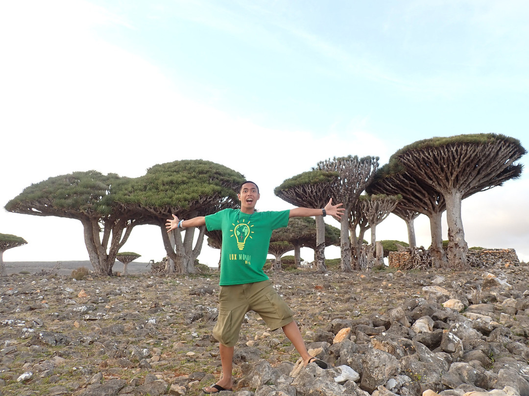 Socotra Adventure景点图片