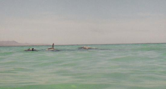 Playa El Tecolote (Tecolote Beach)景点图片