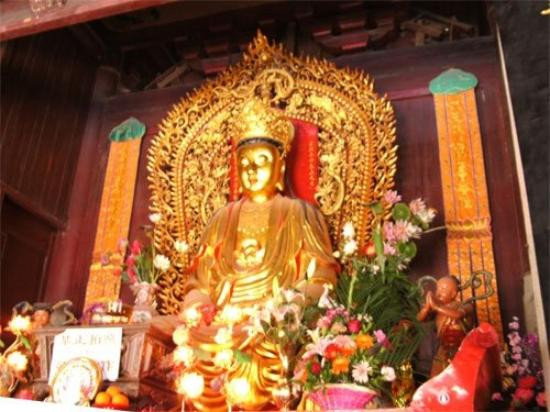 开元寺景点图片