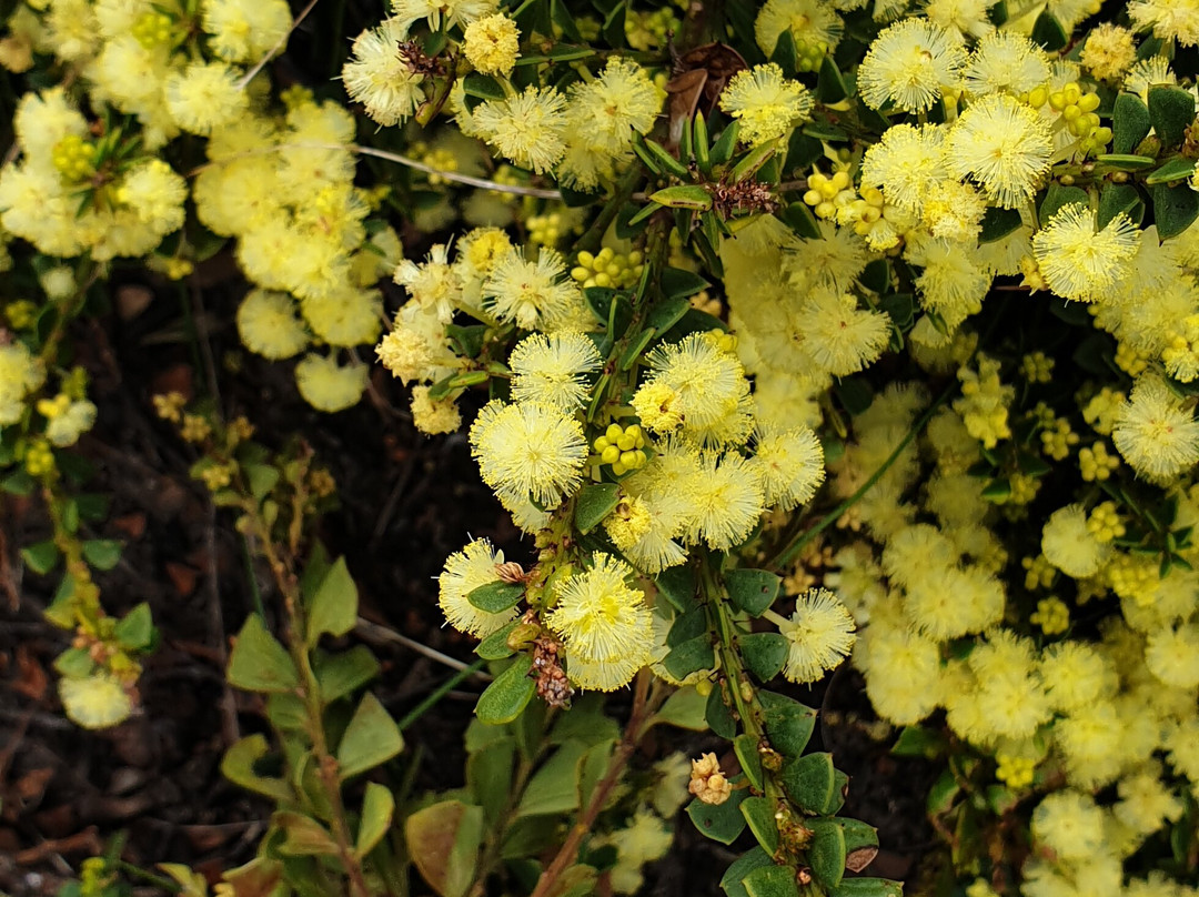 The Blow Holes-奥尔巴尼必去景点