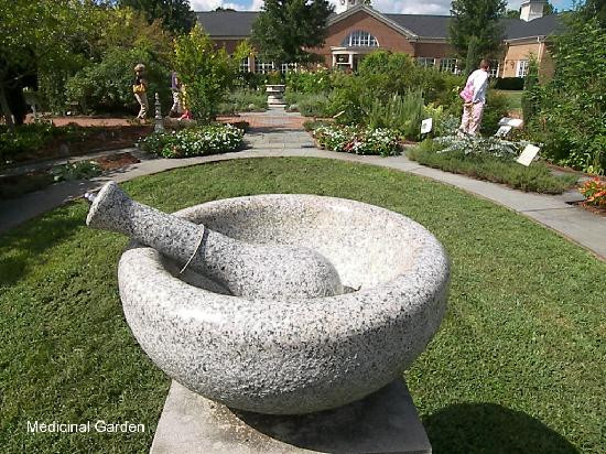 Lewis Ginter Botanical Garden-里士满必去景点