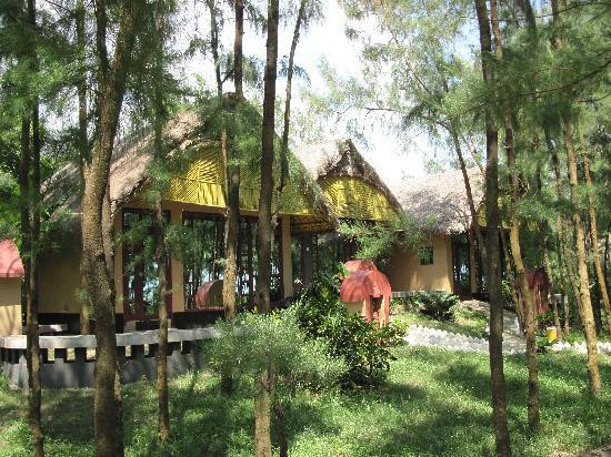 Mandarmani Beach-Mandarmani必去景点