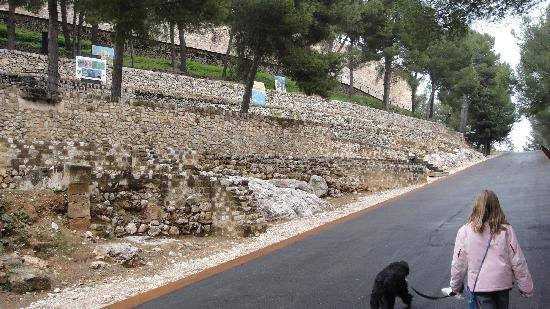 Denia Castle and Archaeological Museum景点图片