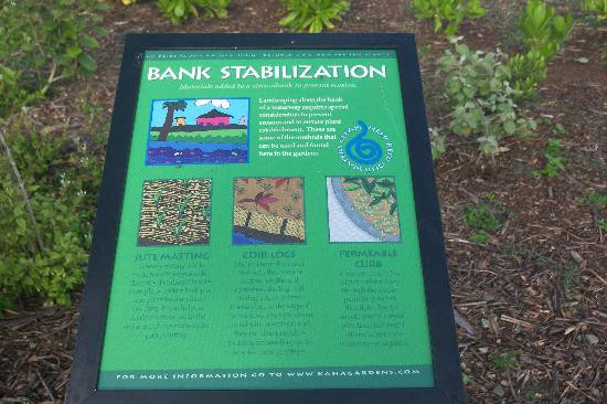 Kawai Nui Marsh自然保护区-科纳必去景点