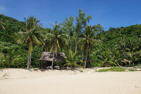 Cham Island Diving-会安必去景点