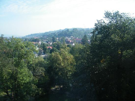 Bran Castle (Dracula's Castle)景点图片