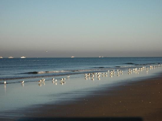 Parque Nacional de Doñana-阿尔蒙特必去景点