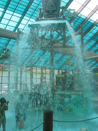 Wild Bear Falls Water Park-盖林柏格必去景点