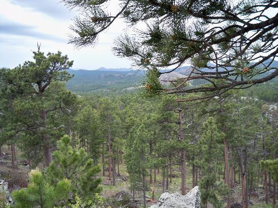 Iron Mountain Road-卡斯特必去景点
