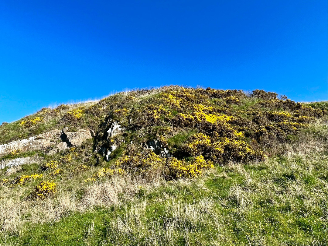 Portsoy Links Bay-Portsoy必去景点