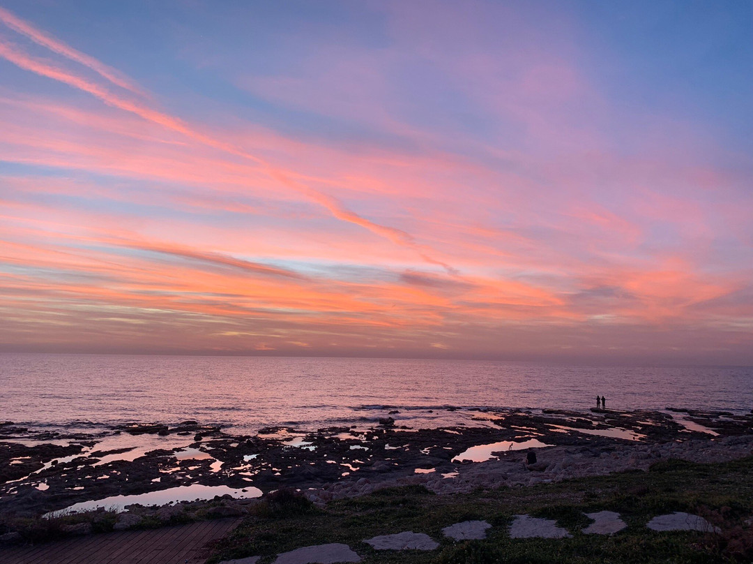 Hecht Park-Haifa必去景点