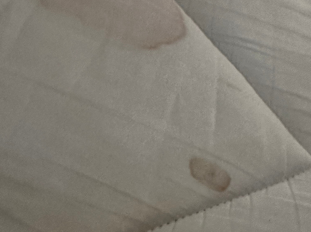 Best Western Richmond Hotel主图