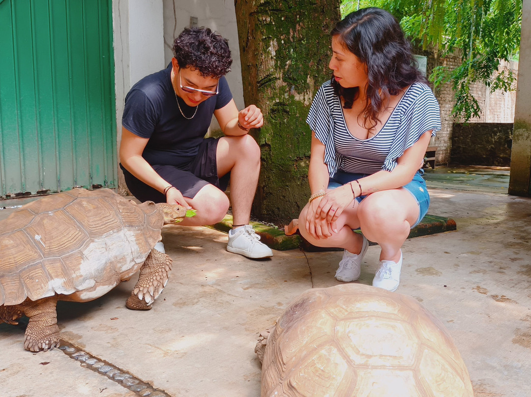 VB Tours-Tapachula必去景点