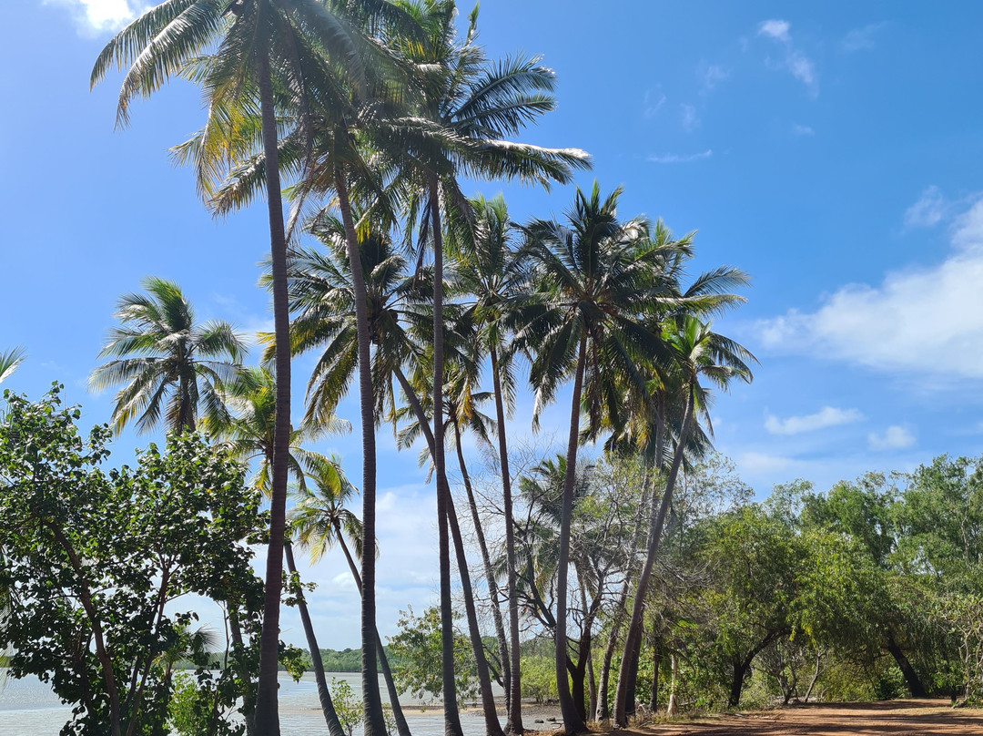 Weipa Mine & Town Tours-Weipa必去景点
