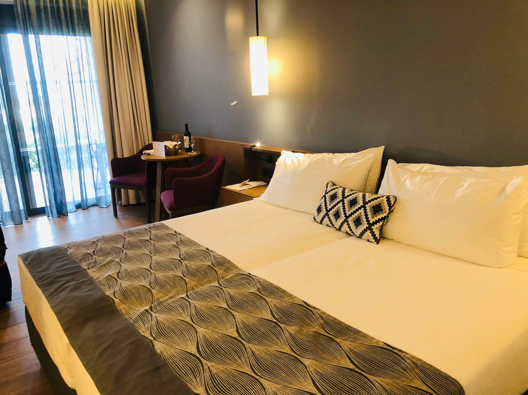 Apollonion Asterias Resort & Spa主图