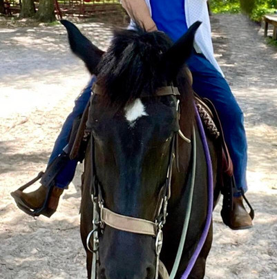 Cactus Jack's Trail Rides & Farm Tours-奥卡拉必去景点