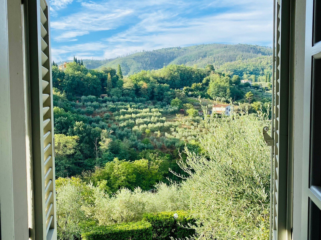 Villa Zelma主图