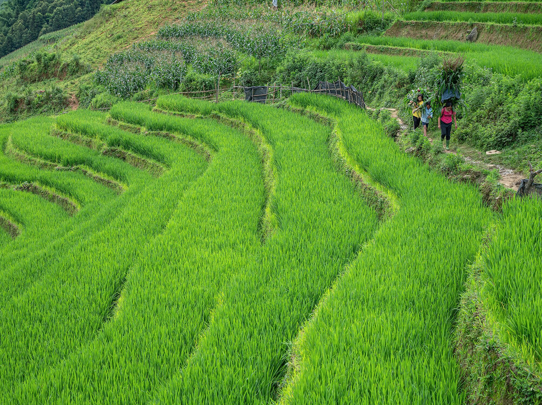 Mountain Valley Homestay