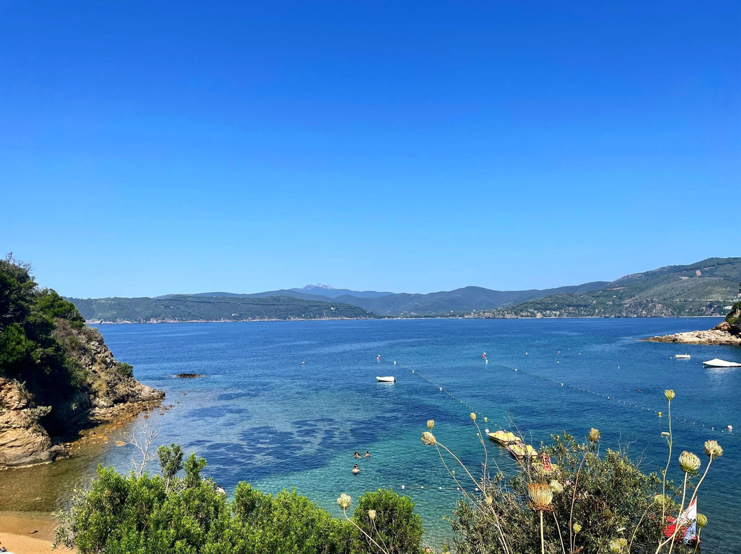 Spiaggia di Zuccale-Capoliveri必去景点