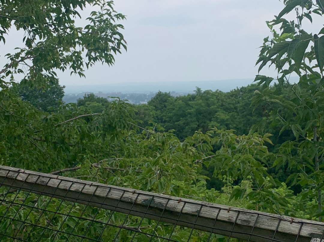 Utica Zoo-Utica必去景点