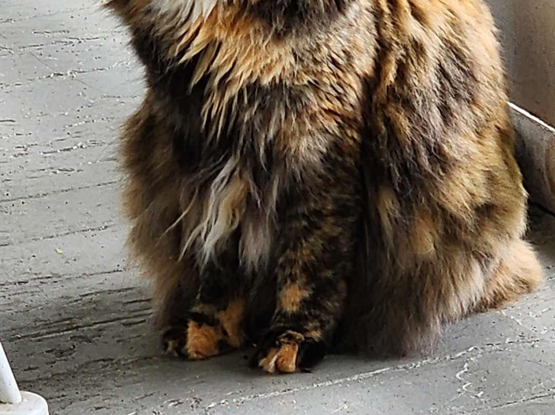 The Farmstand B & B主图