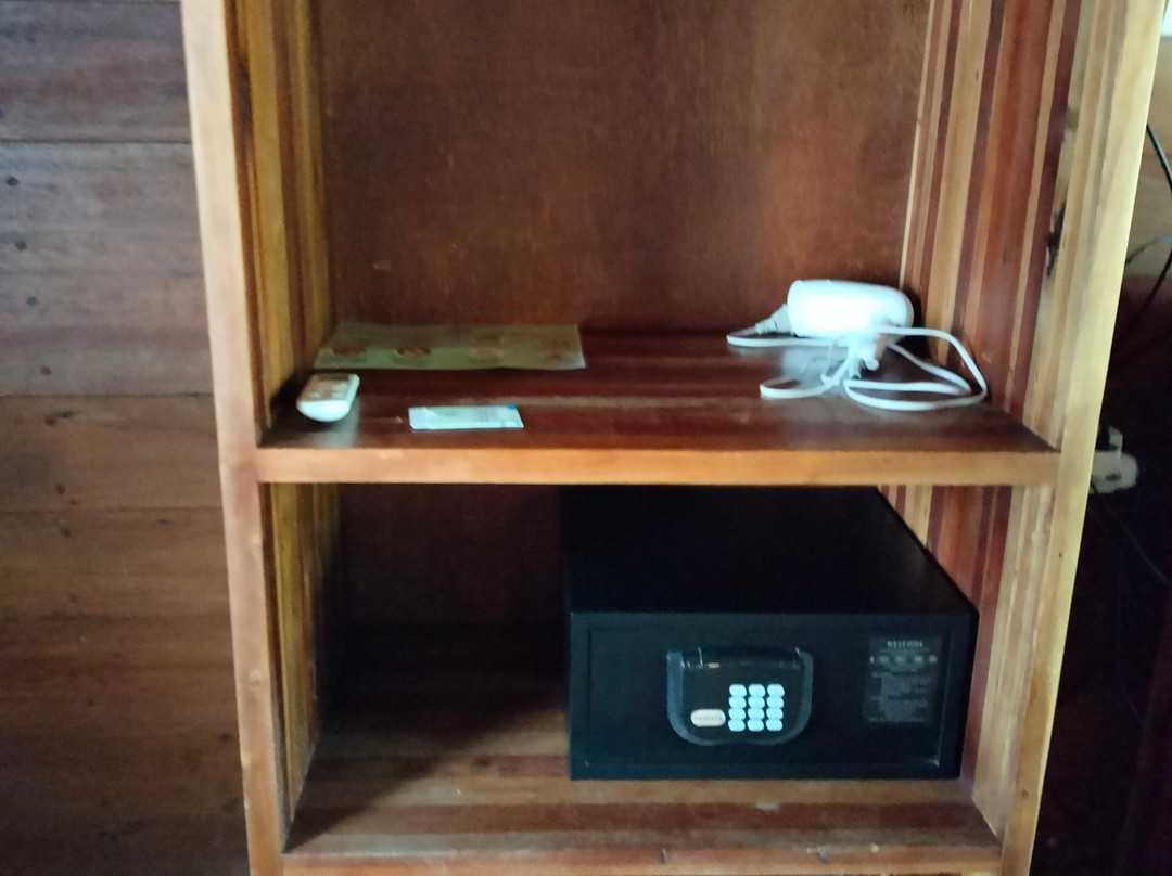 Coconut Island Carita主图