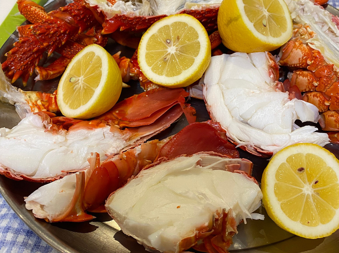 San Remo Fishermans Co-Op Pelican Feeding-圣雷莫必去景点