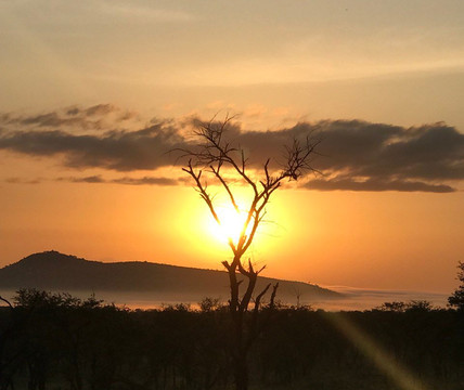 Utmost Travel & Tours-阿鲁沙必去景点