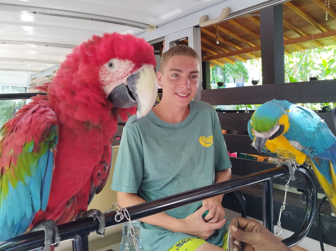 Kingsway Thoddoo主图