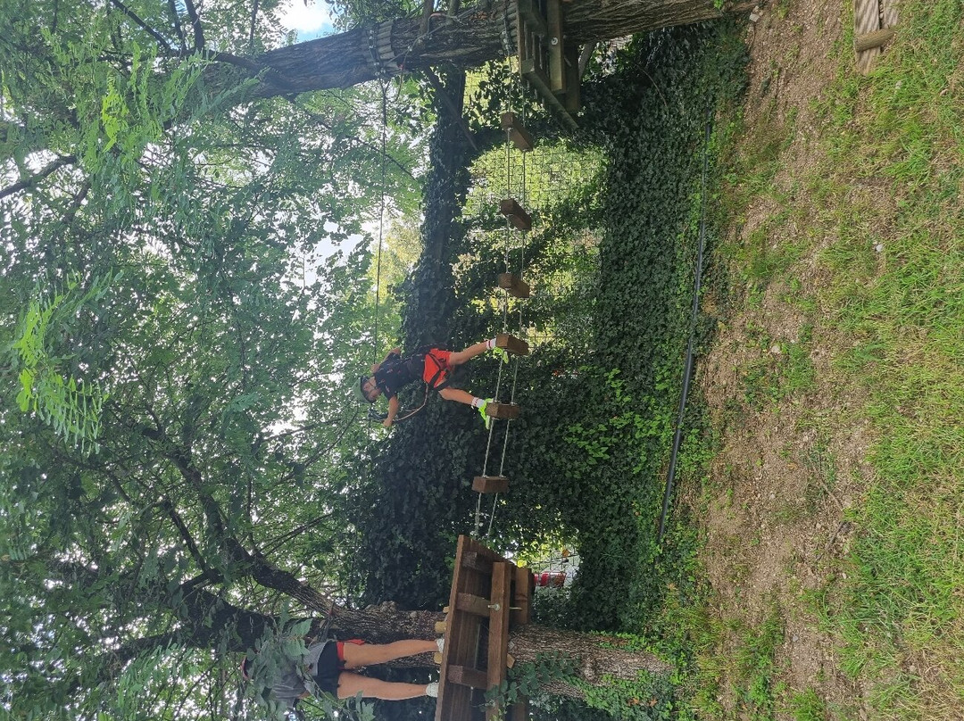 Parco La Quiete景点图片