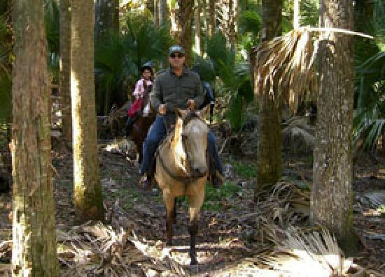 Deep Creek Stables-Pierson必去景点