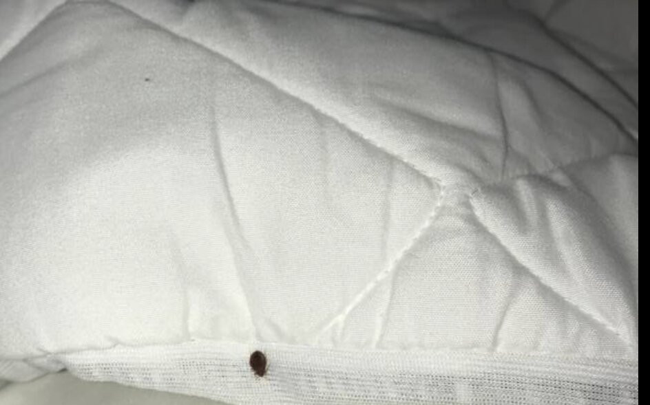 Hyatt Place Dallas/Allen主图