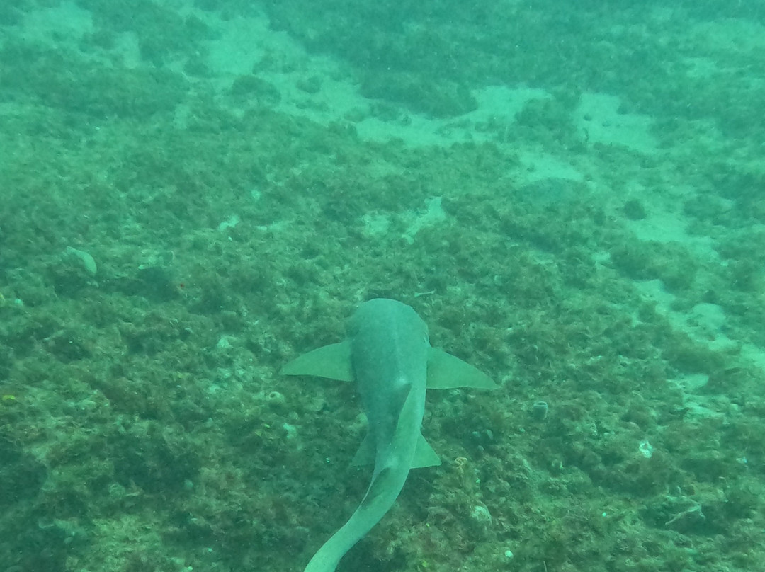 Scuba Works-朱庇特必去景点