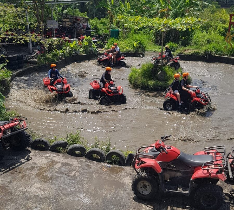 Diana Bali Tours - Day Tours景点图片
