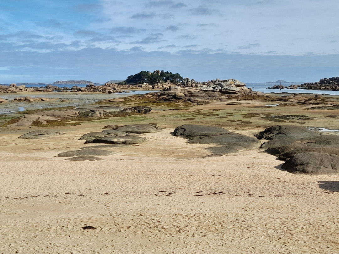 Plage de Tourony景点图片