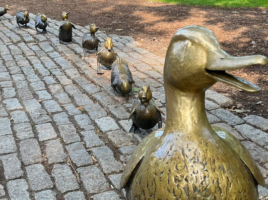Intrepid Urban Adventures - Boston-波士顿必去景点