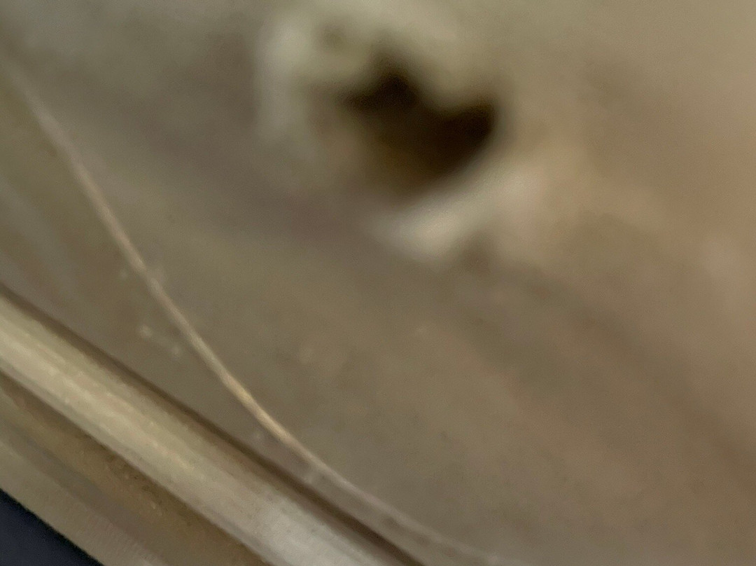 大峡谷威廉旅程住宿酒店主图