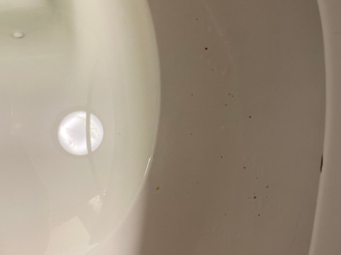 伊丽莎白城伊克诺旅馆