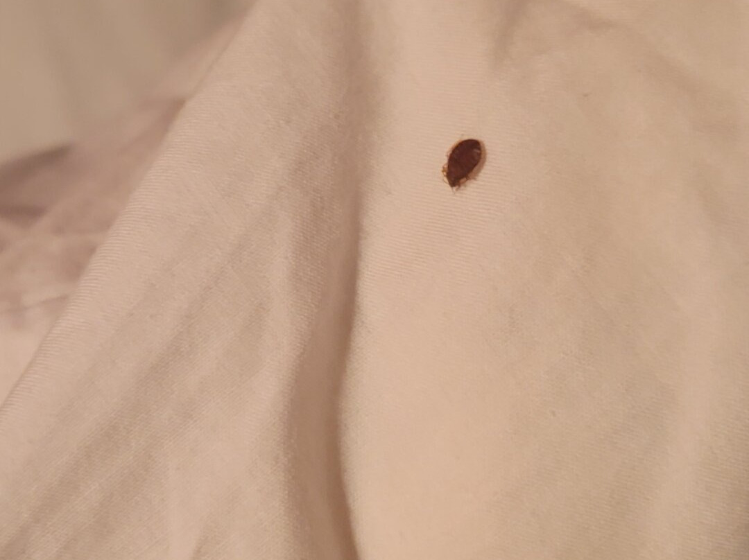 贝克利旅行酒店主图