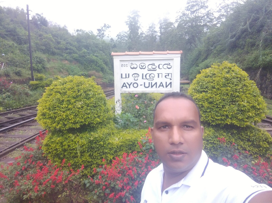 Thenumi Cabs and Tours-加勒必去景点