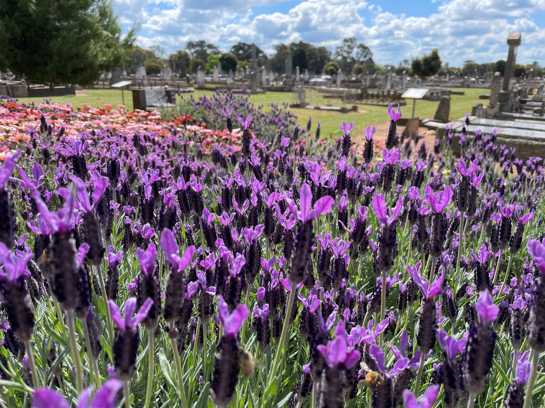Benalla Cemetery景点图片