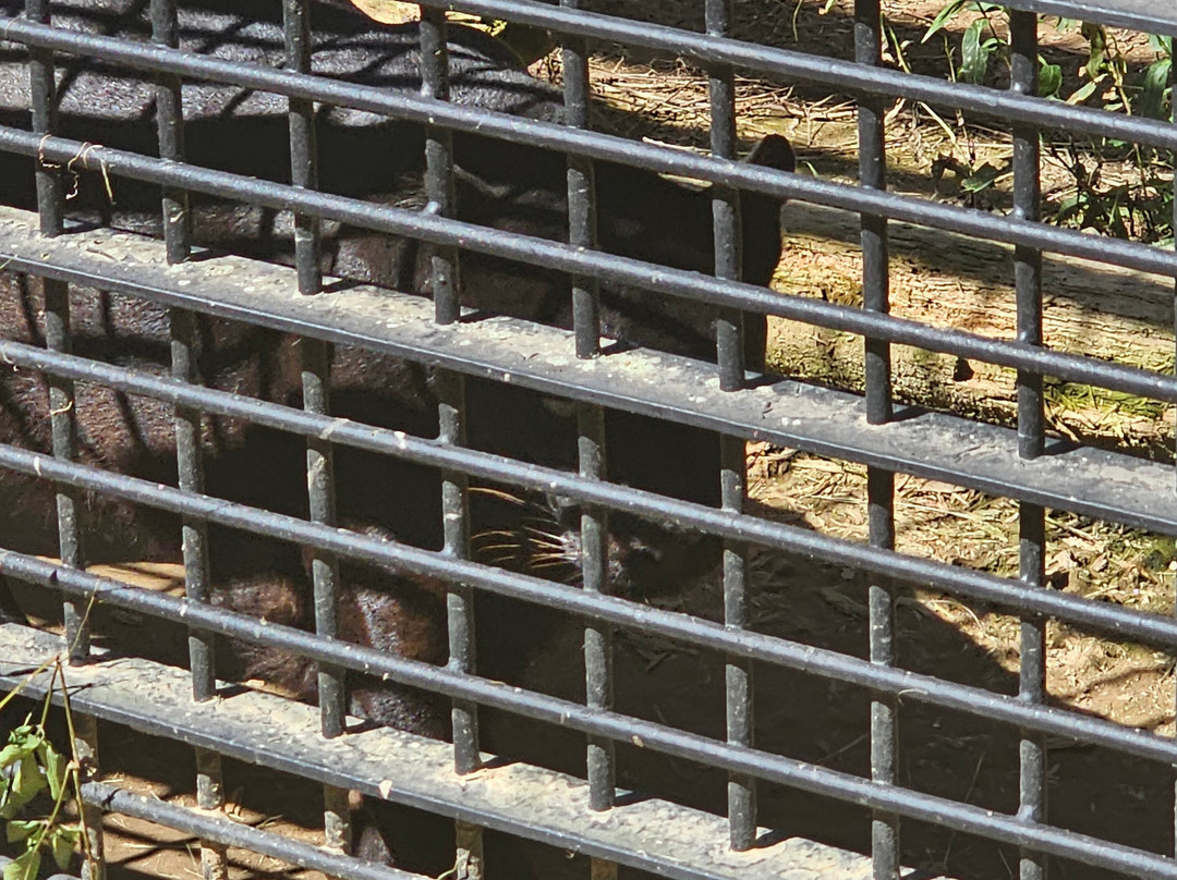Hamamatsu Zoo logical Garden景点图片