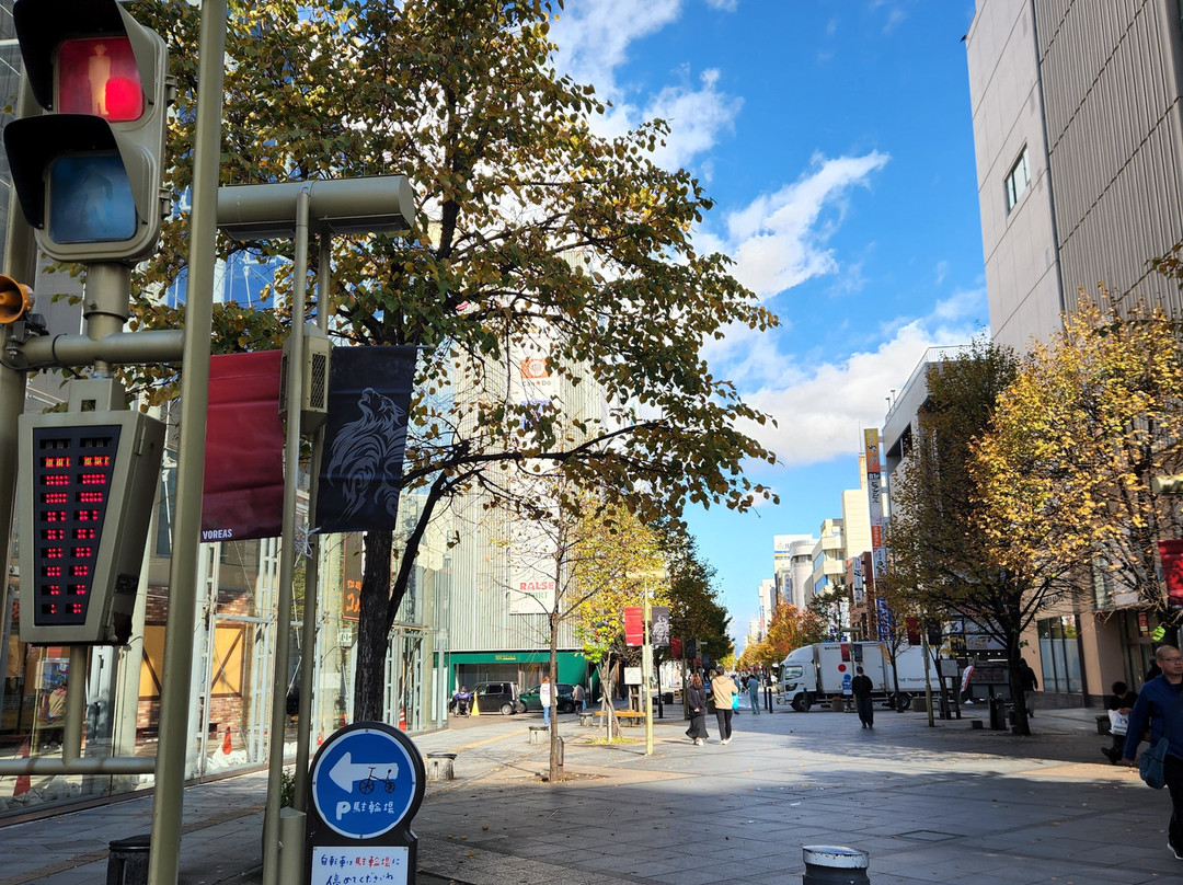 Asahikawa Heiwa Street Shopping Park-旭川市必去景点