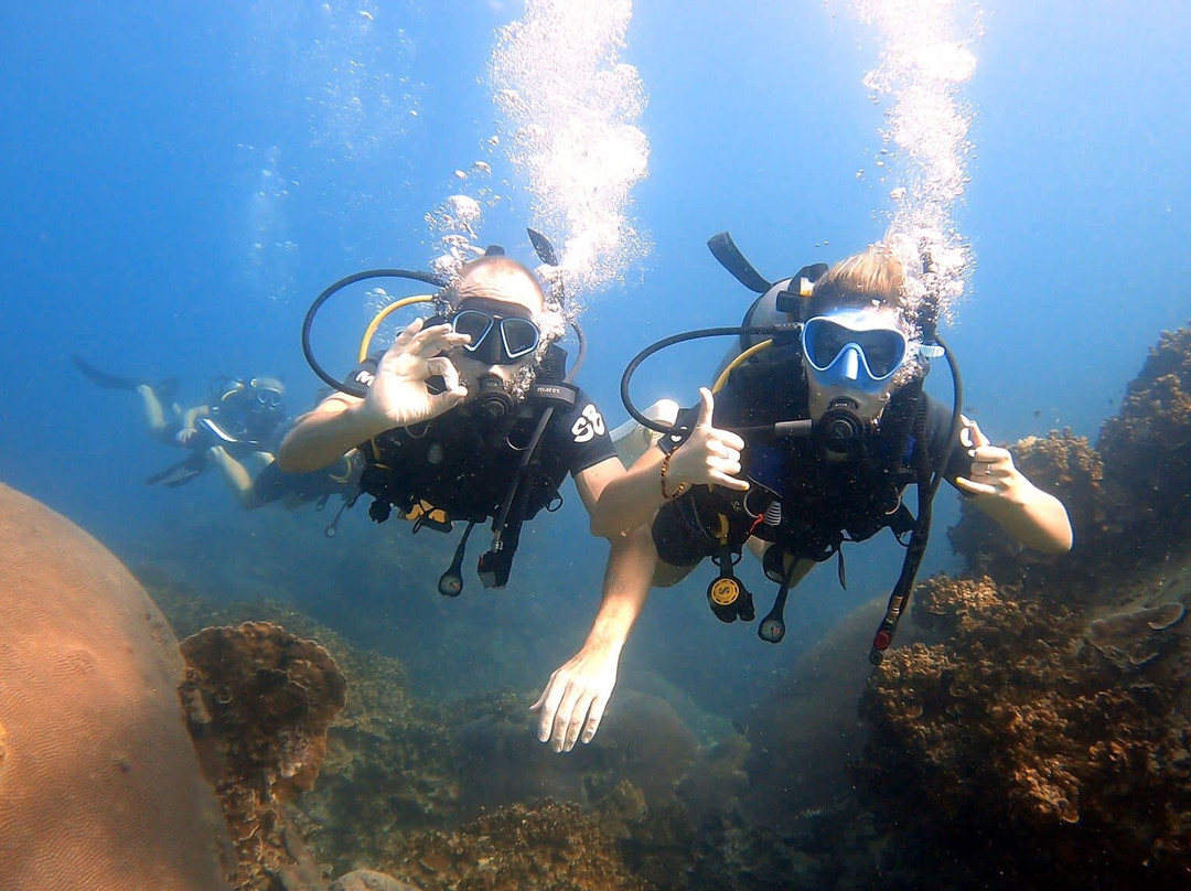 Scuba Birds International Dive Center-涛岛必去景点